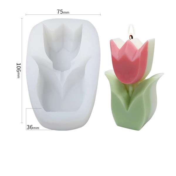 Flor Tulipán en maceta